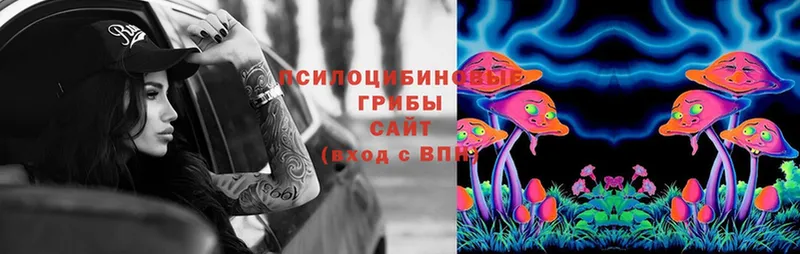 сколько стоит  Рассказово  Псилоцибиновые грибы MAGIC MUSHROOMS 